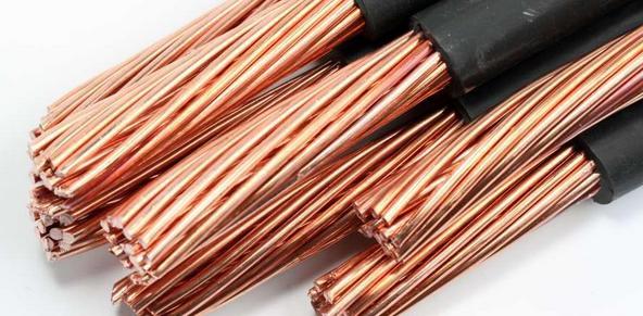 市农科院开展安全培训与学习交流