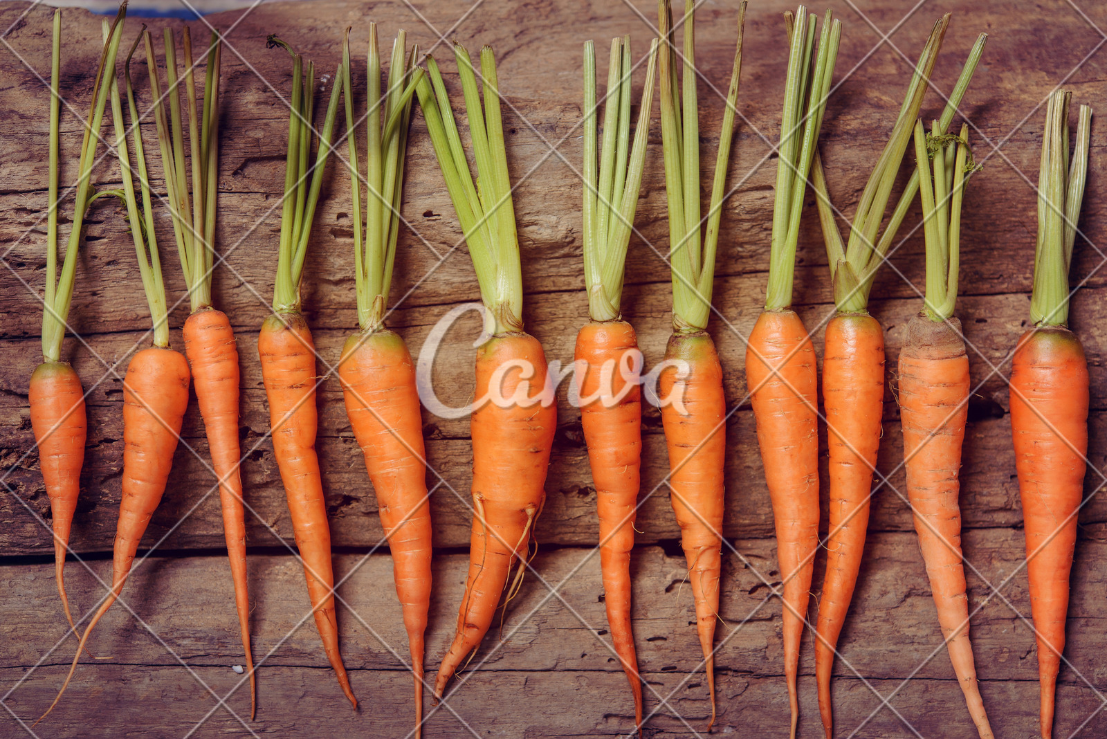 丰业银行:Palo Alto(PANW.US)收购SentinelOne(S.US)或将颠覆“小并购”战略